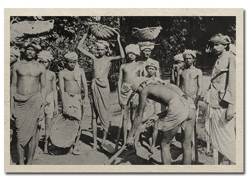 Tamil coolies, 1880s